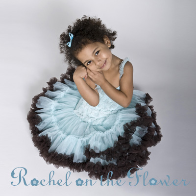 Aquamarine and Chocolate Pettiskirt